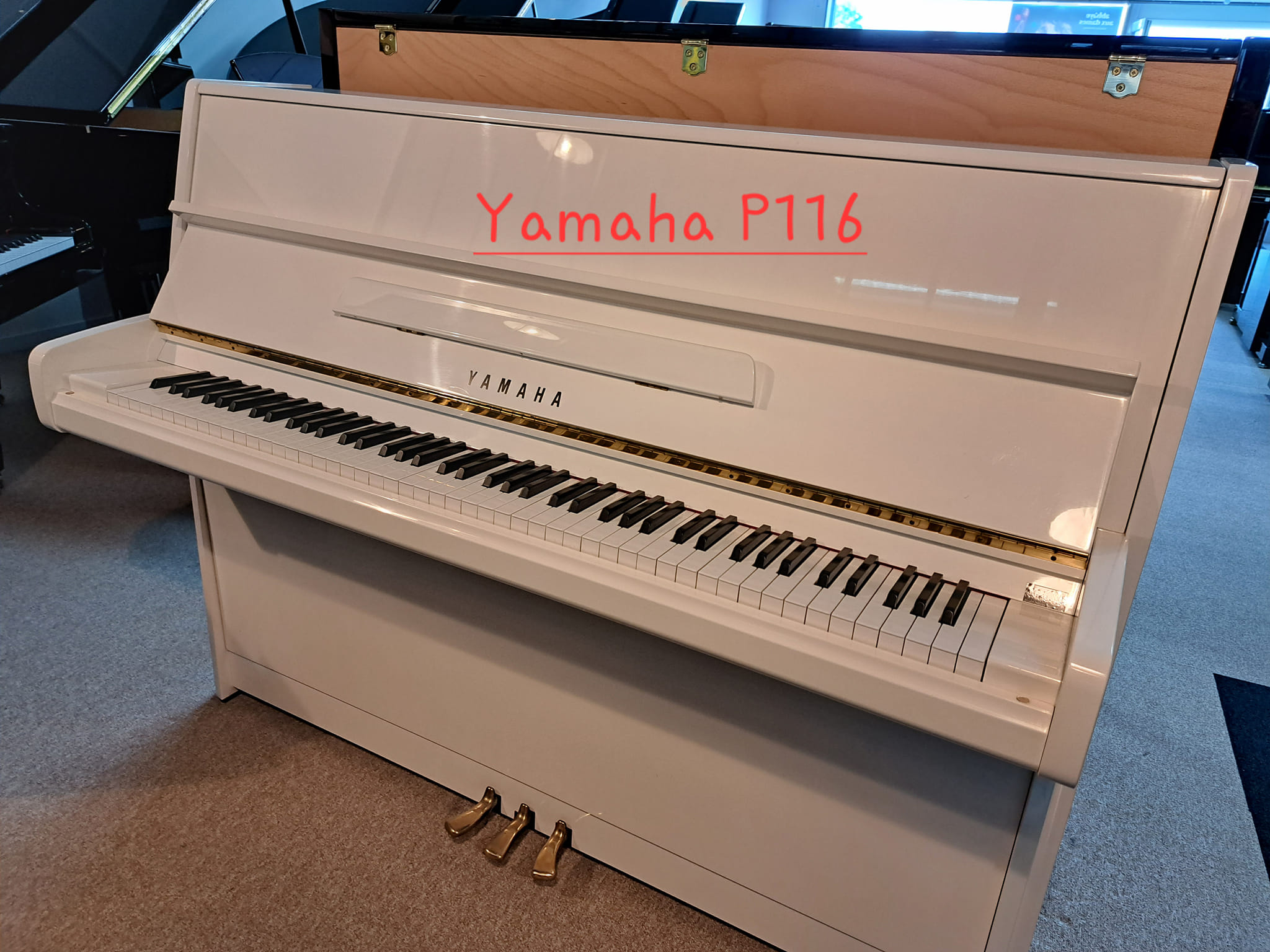 IMG BRP Vente/Yamaha P116